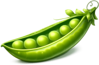 Pea Pod Logo